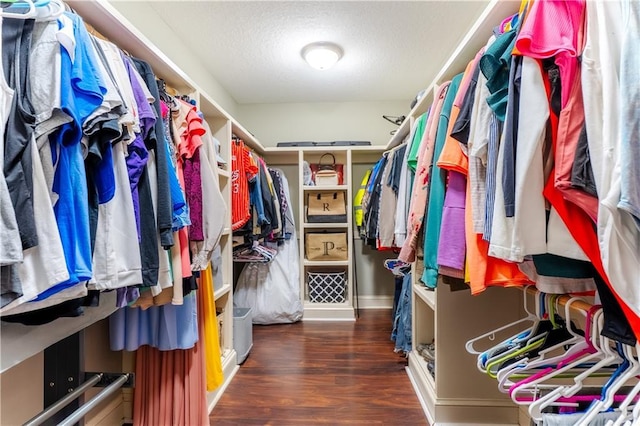 walk in closet featuring wood finished floors