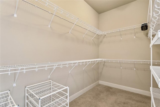 spacious closet with carpet flooring