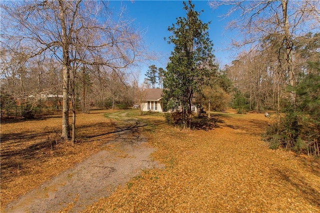 view of yard featuring dirt driveway