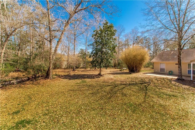 view of yard featuring a patio area