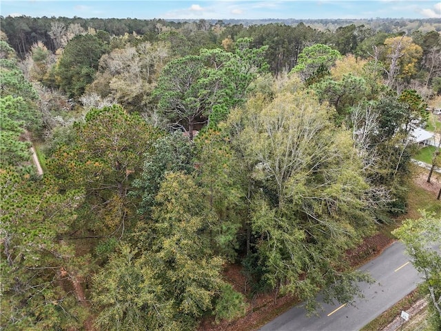 birds eye view of property with a forest view