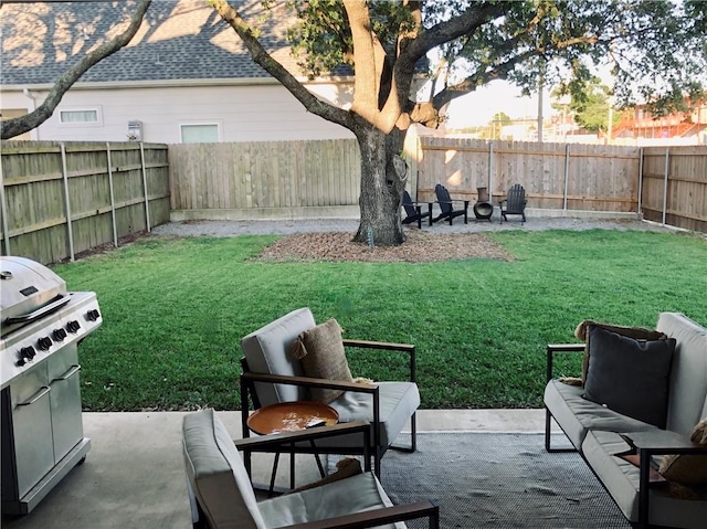 view of yard with a patio area and a fenced backyard