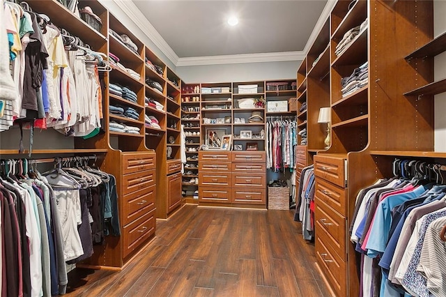 spacious closet with dark wood-type flooring