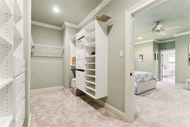 walk in closet featuring carpet floors and a ceiling fan