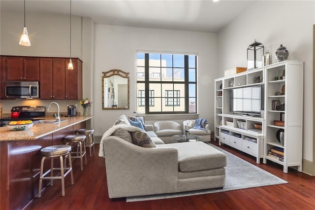 living room featuring dark wood-type flooring