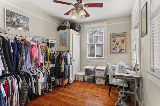 walk in closet with hardwood / wood-style flooring and a ceiling fan