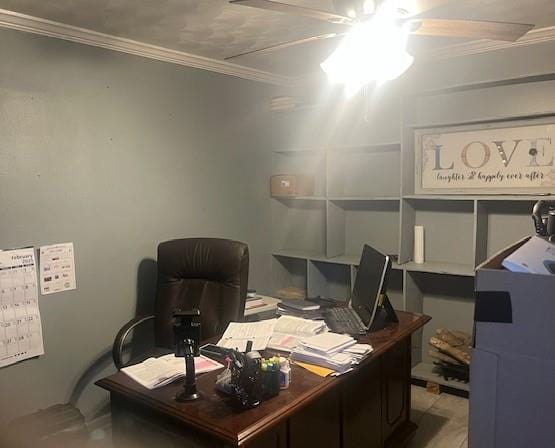 office area with ornamental molding and a ceiling fan