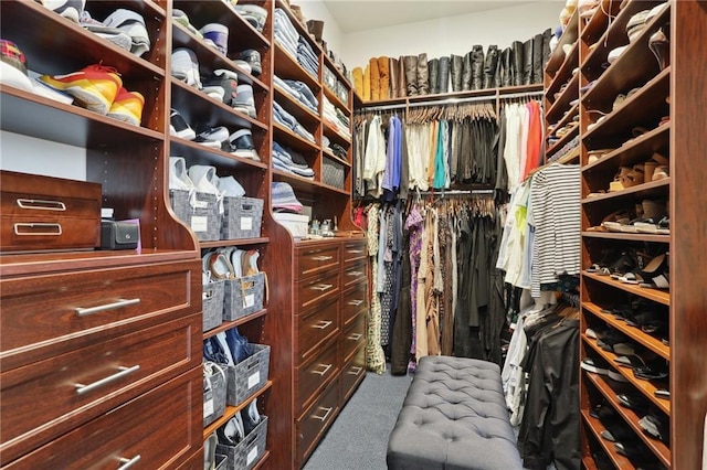 spacious closet featuring carpet