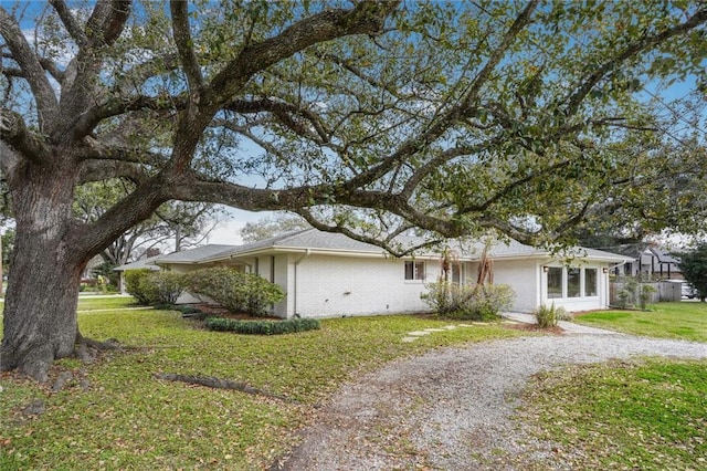 view of front of home with a front lawn, gravel driveway, and brick siding