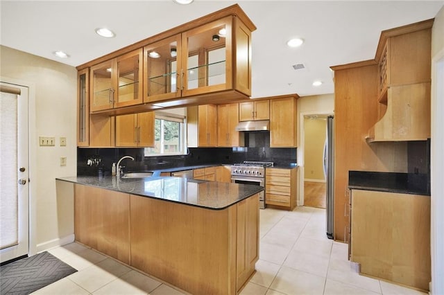 kitchen featuring stainless steel appliances, backsplash, a sink, a peninsula, and under cabinet range hood