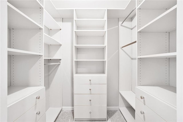 spacious closet featuring carpet floors