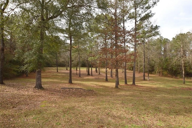 view of local wilderness