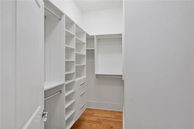 spacious closet featuring wood finished floors