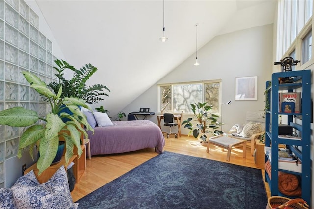 bedroom with lofted ceiling and wood finished floors