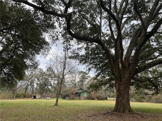 view of yard featuring an outbuilding