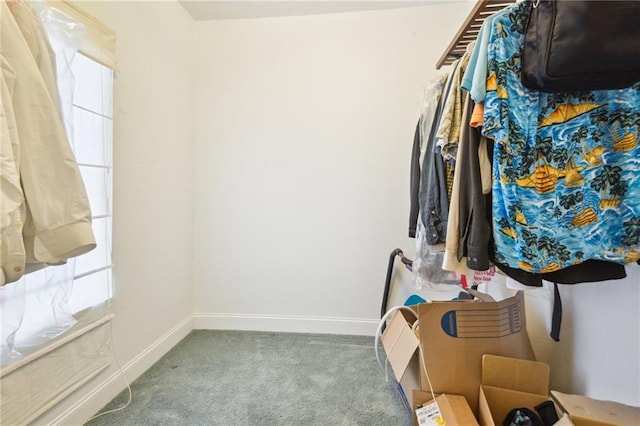 walk in closet featuring carpet