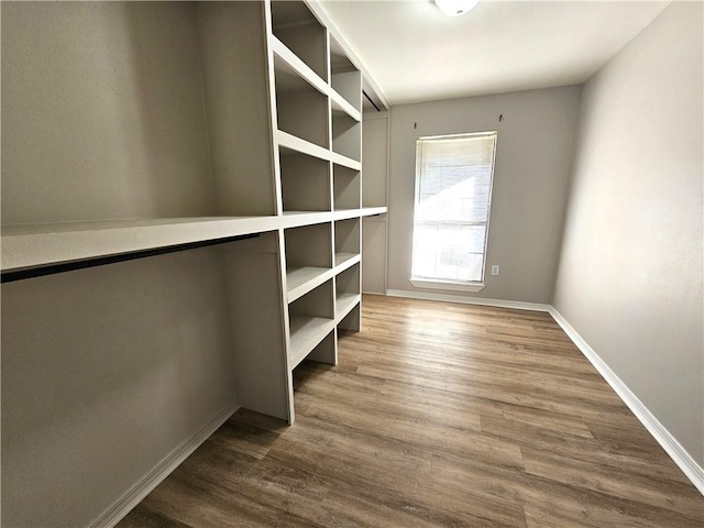 interior space with dark wood-style floors