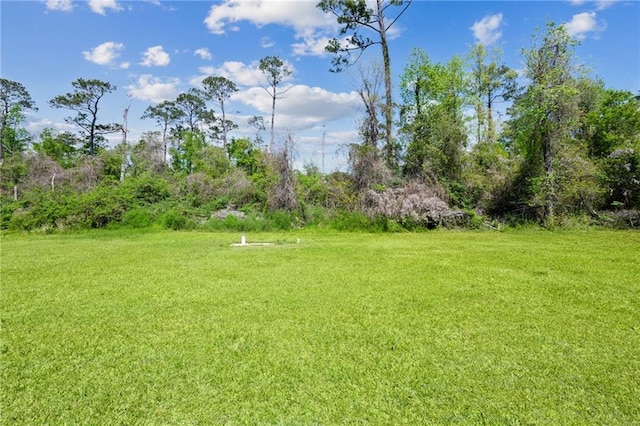 16685 Meissner Rd, Springfield, LA 70462 - view of yard