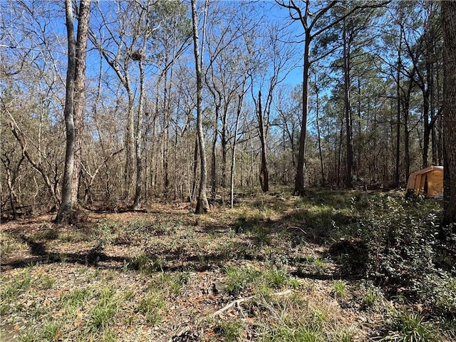 S Strain Rd, Mandeville, LA 70471 - photo 1
