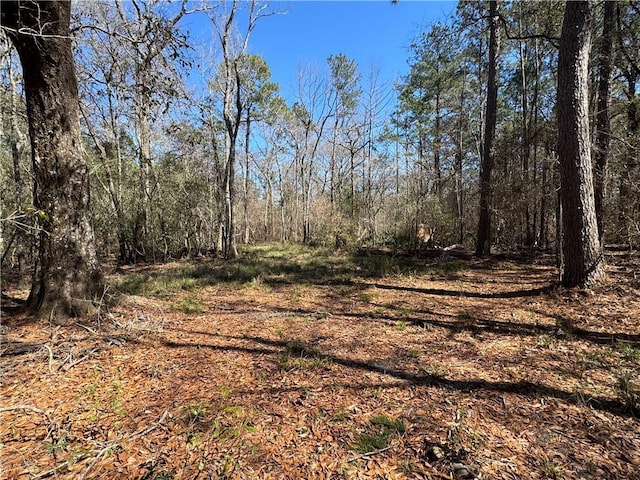 S Strain Rd, Mandeville, LA 70471 - photo 3
