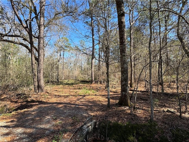 S Strain Rd, Mandeville, LA 70471 - photo 4