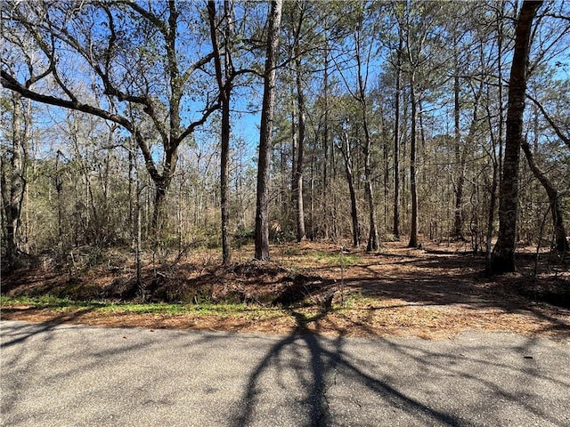 S Strain Rd, Mandeville, LA 70471 - photo 6
