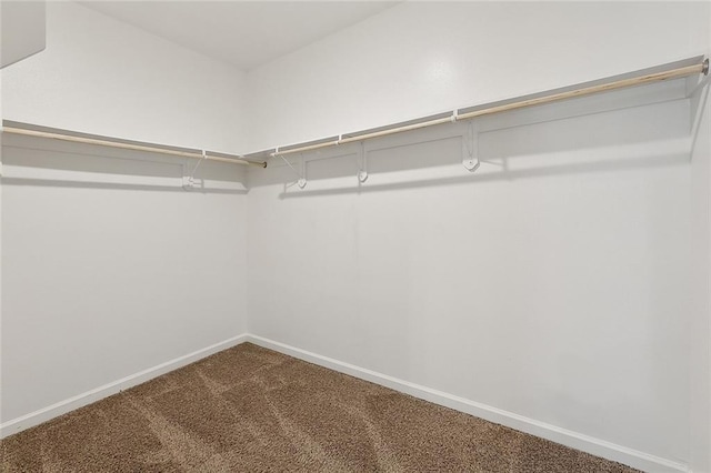 5635 Oak Trace Dr, Saint Gabriel, LA 70776 - walk in closet with carpet flooring