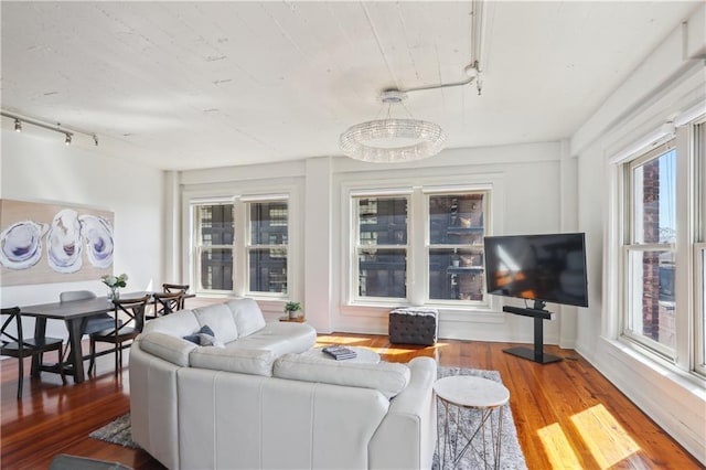 living room featuring track lighting and wood finished floors