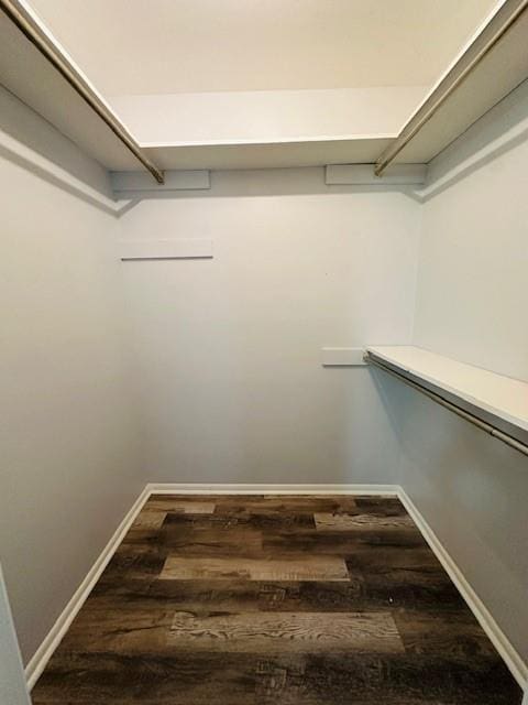 spacious closet featuring wood finished floors