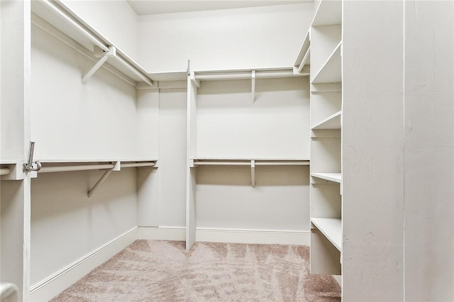 spacious closet with carpet flooring