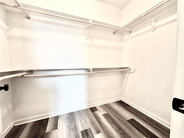 walk in closet featuring wood finished floors