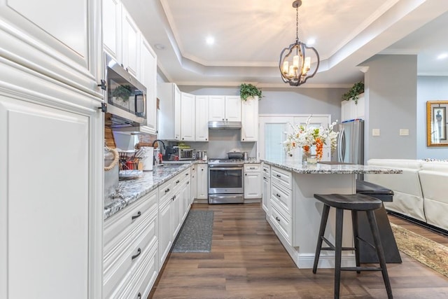 kitchen with appliances with stainless steel finishes, a raised ceiling, under cabinet range hood, and light stone counters