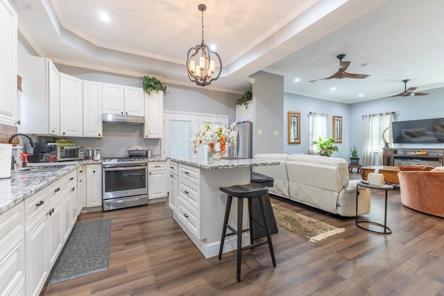 kitchen featuring a tray ceiling, appliances with stainless steel finishes, open floor plan, a sink, and under cabinet range hood