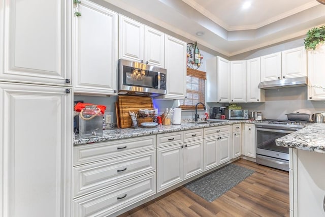 kitchen featuring under cabinet range hood, stainless steel appliances, a sink, a tray ceiling, and crown molding