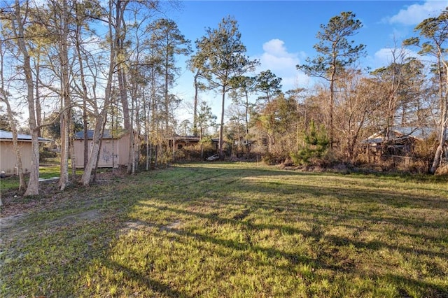 view of yard featuring a shed and an outbuilding