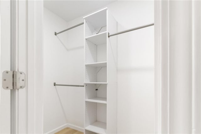 view of spacious closet