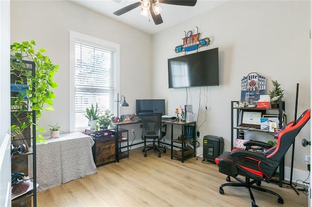 office space featuring a ceiling fan and wood finished floors