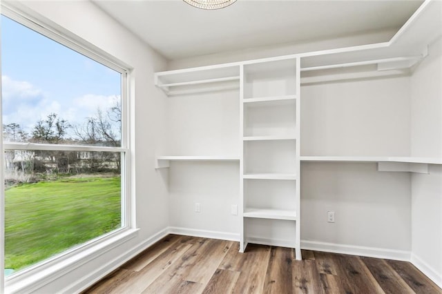 walk in closet featuring wood finished floors