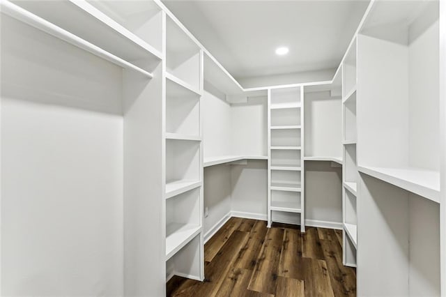 walk in closet featuring dark wood finished floors