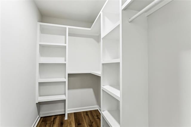 walk in closet featuring dark wood-style floors