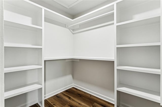 walk in closet with wood finished floors