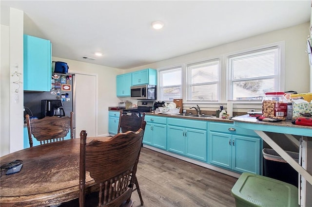 kitchen featuring a sink, appliances with stainless steel finishes, light wood-type flooring, and blue cabinetry