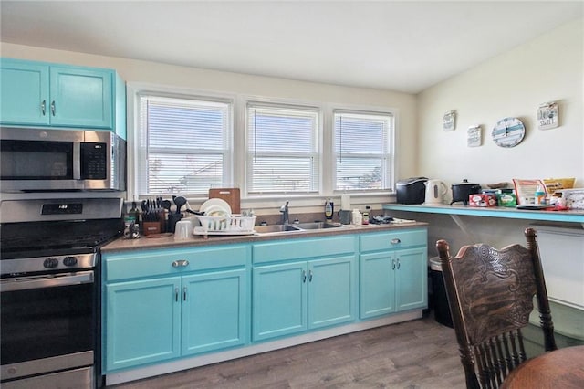 kitchen featuring blue cabinets, stainless steel appliances, a sink, and wood finished floors