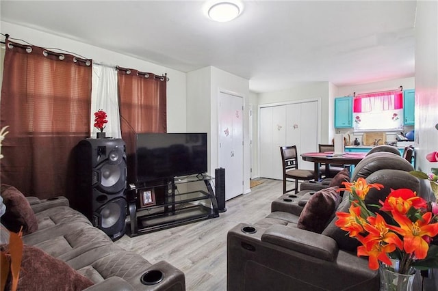 living room with light wood-style flooring