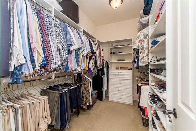 spacious closet with light colored carpet