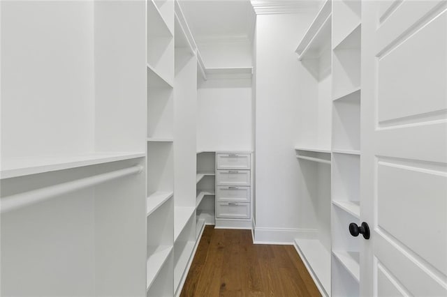 walk in closet featuring dark wood-style floors