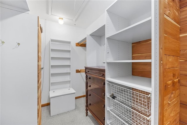 walk in closet with light colored carpet