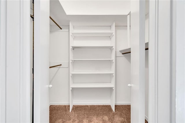 walk in closet with carpet floors