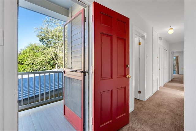 interior space with carpet flooring