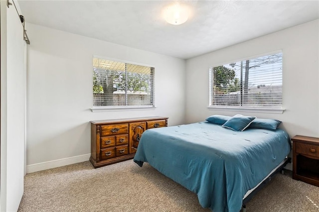 bedroom with carpet, multiple windows, and baseboards